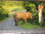 safrica/IMG_0138 (WinCE).JPG